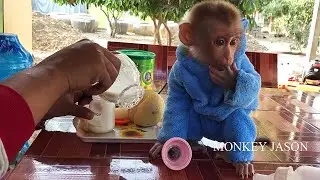 Small Baby Jason Decently Sit Meditation Wait Milk After Get Up In Early Morning