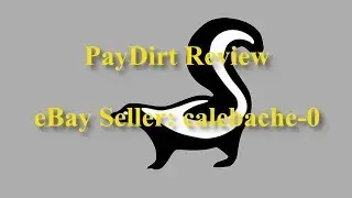 PayDirt Review eBay Seller: calebache-0