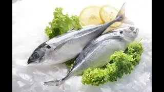 Conoce nuestro proceso de pescados frescos y congelados