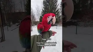 Vi tackar f&ouml;r alla fina m&ouml;ten under &aring;ret och forts&auml;tter att friflyga 2026. Gott Nytt &Aring;r!