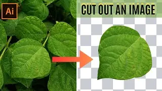 How To Cut Out An Image Object in Illustrator | Quirky Graphic Academy