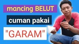 EXPERIMEN MANCING BELUT PAKAI GARAM, EMANG BISA? COBA LIHAT