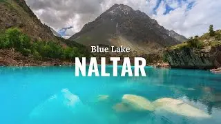 Naltar Valley Gilgit Vlog 2025 &ndash; Discover the Hidden Heaven of Pakistan 🇵🇰