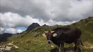 Bregenzerwald Wanderung: Wunderschöne kleine Runde im Widdersteingebiet vom  Hochtannbergpass aus