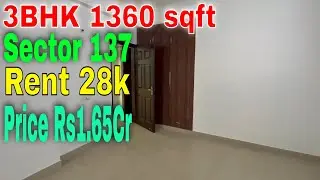 3BHK 1360 sqft Apartment Paramount Floraville Sector 137 Noida | Flats For Rent & Sell in Noida ||