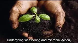 XXL Bio Green Soil Enhancer (English)