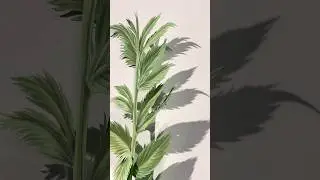 Do Not Touch! Delicate Paper Leaves and Flowers