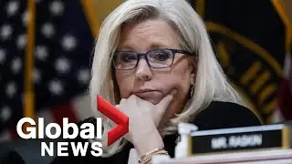 Major Trump opponent Liz Cheney faces political reckoning in Republican primary