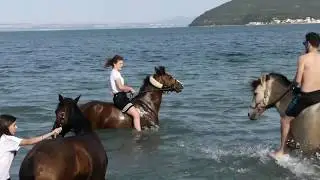 mounted games REBECCA & BILLI  2 tappa peter dale 2019 Istres