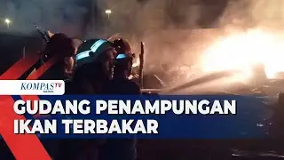 Kebakaran Besar Hanguskan Gudang Penampungan Ikan di Medan Belawan
