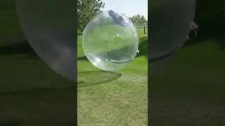 Rc Car in a Huge Ball #shorts