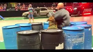 K9 Demo