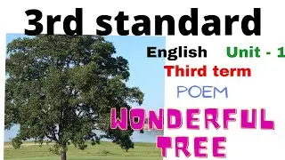 3rd standard||3-term English|| poem || wonderful tree||