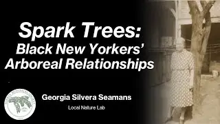 Spark Trees: Black New Yorkers' Arboreal Relationships