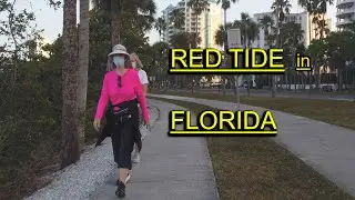 A Walk in Sarasota Florida (March 5) anamorphic view | recorded in 4k