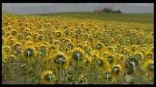 Campagna  - turismo.intoscana.it
