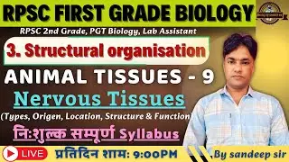 RPSC 1st Grade Biology 2025 | Structural Organization In Animal & Plants | Animal Tissues Part -9