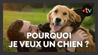 Adopter un chien : posez-vous les bonnes questions