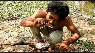 Primitive Technology - find black duck catch by hand - Cooking Wild duck and eating delicious