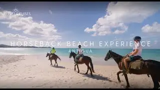 P&O Cruises | Caribbean horseback experience in Antigua