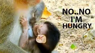 NO...NO MOM ! I'M HUNGRY MILK MUCH ! Reason small baby Alba weak mom stop milk&bite so hard.