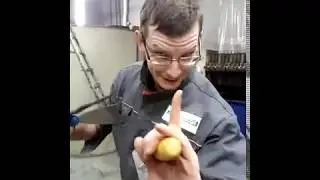 Мастерок, Шапатель и веселый Дуст
