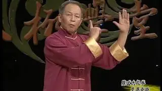 陈式太极拳56式8/第28动-第33动:李德印/屈国锋（表演）