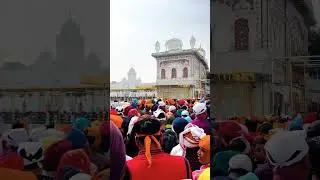 #goldentemple #instagram #facebook #official