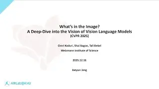 VLM is like this... What's in the Image? A Deep-Dive into the Vision of Vision Language Models