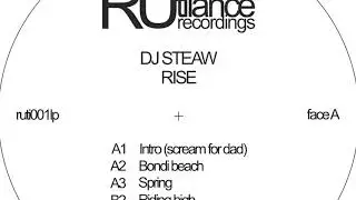 Dj Steaw - Bondi beach - Rise LP [Rutilance Recordings 2018]