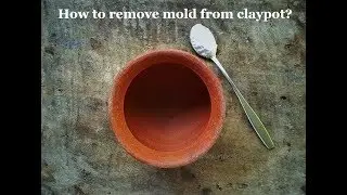How to remove mold from claypots | Fungus in claypot