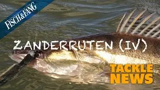 Tackle-News: Zanderruten Teil 4