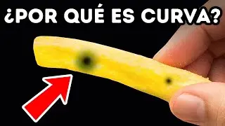 95 Datos inusuales sobre cosas usuales
