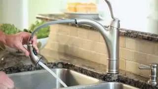 Moen Walden Pullout Kitchen Faucet featuring Reflex & Microban