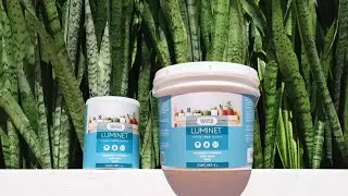 Pintura alta calidad para pintado y repintado de muros Luminet