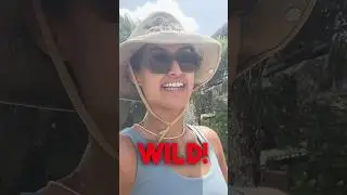 Tulum they don&rsquo;t show you on TV😂. #tulum #reality #mexico #shorts