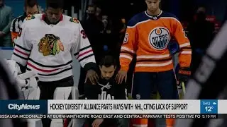 Does the NHL have a diversity problem?