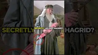 Harry Potter Fan Theories That Might Actually Be True #harrypotter #harrypotterfan #potterhead