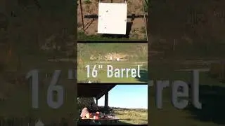 Ar15 w/16