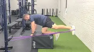 Decrease Low Back Pain, Increase Hip and Core Stability - Bird Dogs + Banded (Cable) Hip Extension