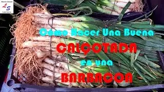 Calçotada y Emparrillada de Carne - Barbacoa - Leña y Sarmientos de Parras Huerto Urbano Luis Servia