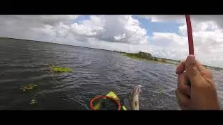 Kayak Bass Fishing Fellsmere Reservoir (Headwaters Lake)