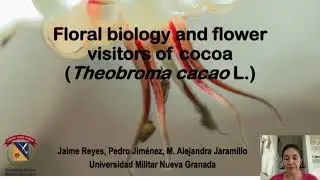 Floral Biology and flower visitors of cocoa (Theobroma cacao)