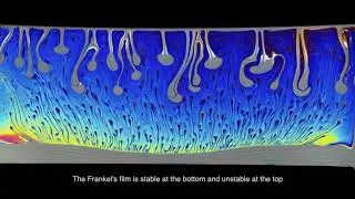 Rayleigh Taylor instability in a foam film
