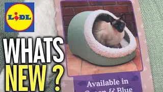 What&rsquo;s New at Lidl Cat and Dog Event - Middle Aisle Deals