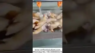 VERFOODSOLUTIONS Pig's trotters Brush Washing Machine After Gas Burning Test for Canada Customer