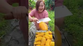 Лучшие фрукты в мире (вы их, вероятно, уже едите)