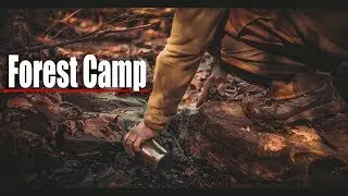 Off Trail Forest Day Camp Adventure