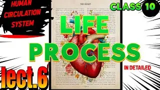 Human Circulatory System | Lecture 6 | Class 10 Biology | Transportation in Human Beings #boards #hp