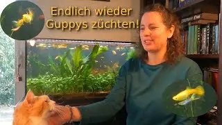 Männerbesuch bei den blonden Ladies!